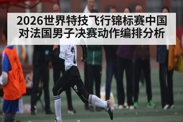 2026世界特技飞行锦标赛中国对法国男子决赛动作编排分析